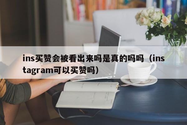 ins买赞会被看出来吗是真的吗吗（instagram可以买赞吗） 第1张