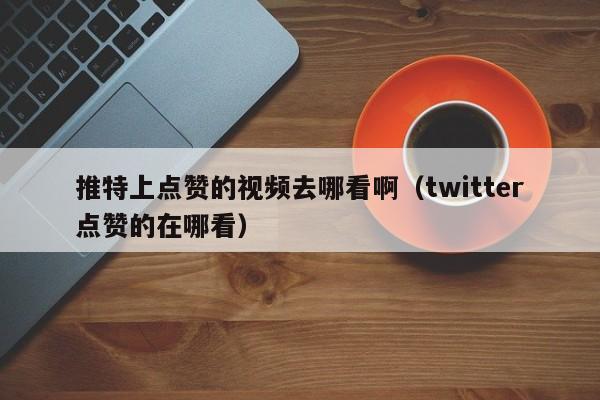 推特上点赞的视频去哪看啊（twitter点赞的在哪看） 第1张