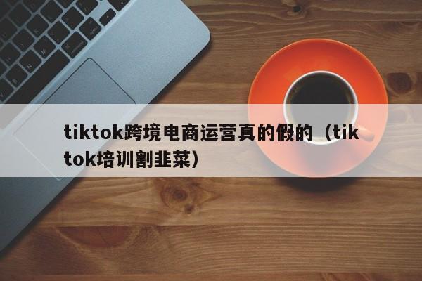 tiktok跨境电商运营真的假的（tiktok培训割韭菜） 第1张