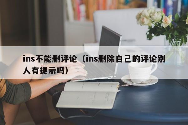 ins不能删评论（ins删除自己的评论别人有提示吗） 第1张