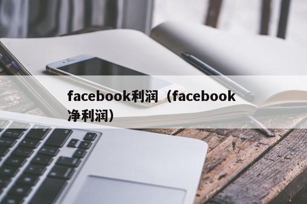 facebook利润（facebook 净利润） 第1张