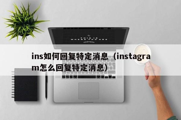 ins如何回复特定消息（instagram怎么回复特定消息） 第1张