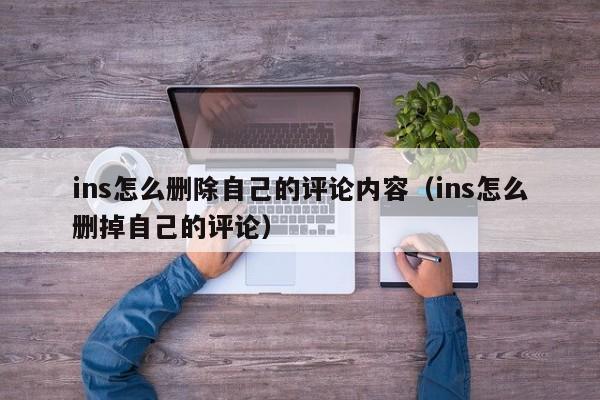 ins怎么删除自己的评论内容（ins怎么删掉自己的评论） 第1张