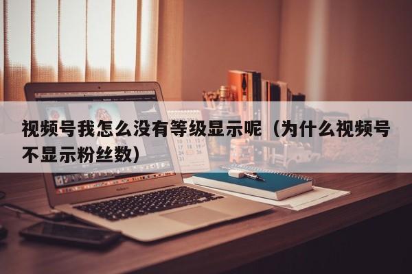 视频号我怎么没有等级显示呢（为什么视频号不显示粉丝数） 第1张