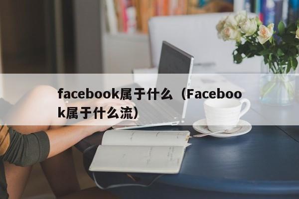 facebook属于什么（Facebook属于什么流） 第1张