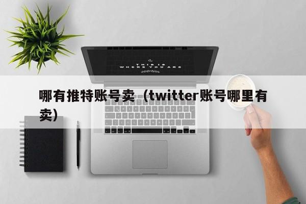 哪有推特账号卖（twitter账号哪里有卖） 第1张