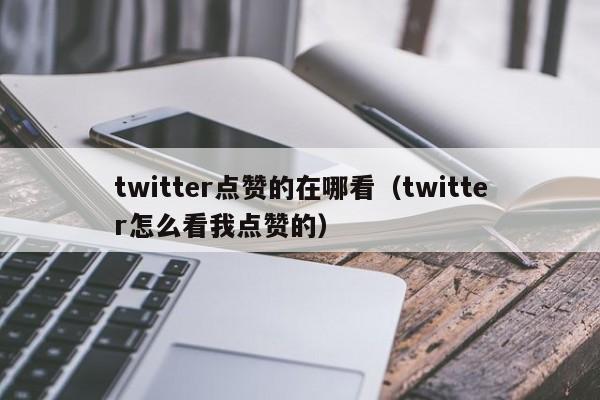 twitter点赞的在哪看（twitter怎么看我点赞的） 第1张