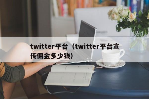 twitter平台（twitter平台宣传佣金多少钱） 第1张