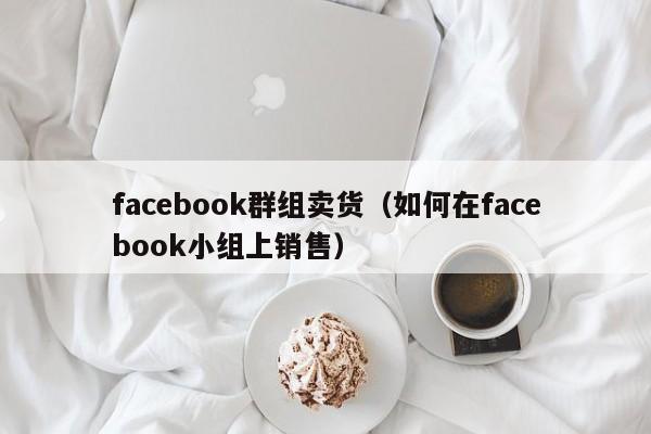 facebook群组卖货（如何在facebook小组上销售） 第1张