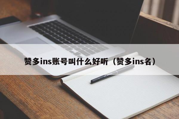 赞多ins账号叫什么好听（赞多ins名） 第1张