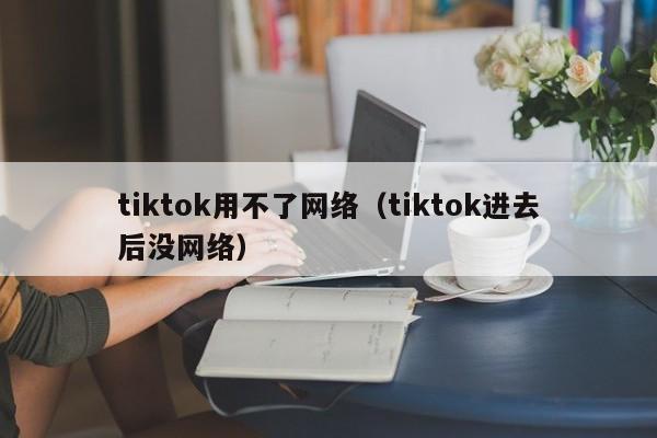 tiktok用不了网络（tiktok进去后没网络） 第1张