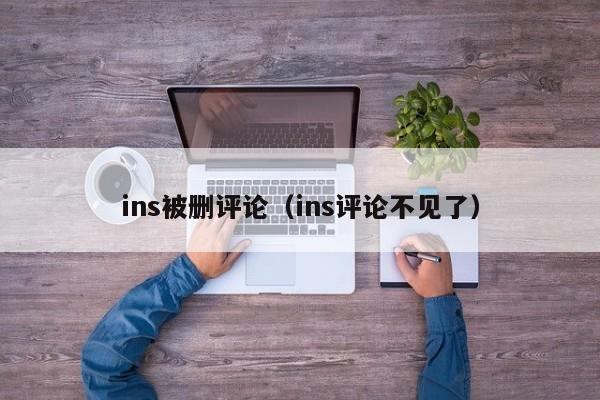 ins被删评论（ins评论不见了） 第1张