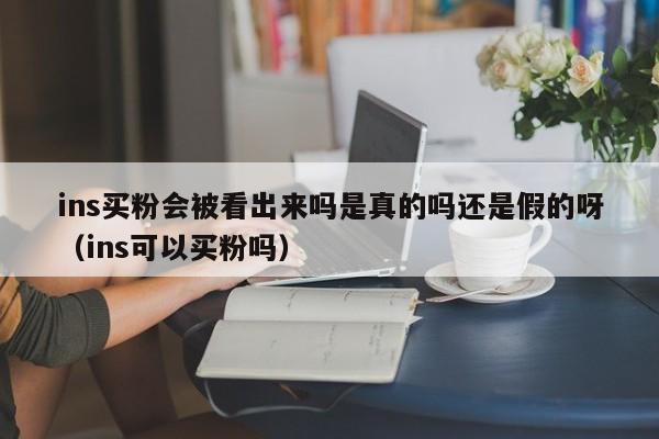 ins买粉会被看出来吗是真的吗还是假的呀（ins可以买粉吗） 第1张