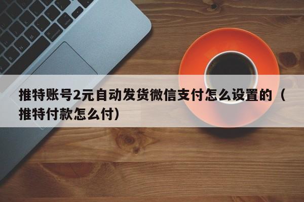 推特账号2元自动发货微信支付怎么设置的（推特付款怎么付） 第1张