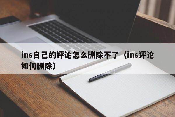 ins自己的评论怎么删除不了（ins评论如何删除） 第1张