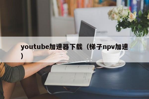 youtube加速器下载（梯子npv加速） 第1张