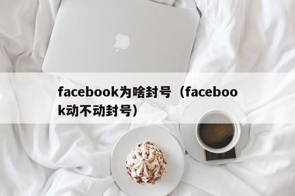 facebook为啥封号（facebook动不动封号） 第1张