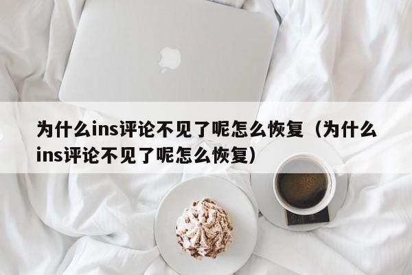 为什么ins评论不见了呢怎么恢复（为什么ins评论不见了呢怎么恢复） 第1张