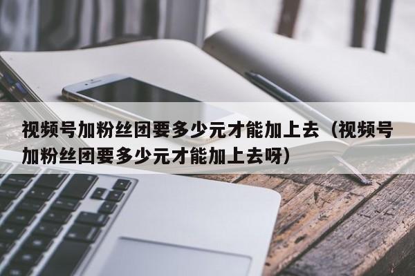 视频号加粉丝团要多少元才能加上去（视频号加粉丝团要多少元才能加上去呀） 第1张