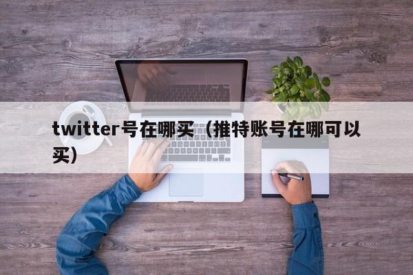 twitter号在哪买（推特账号在哪可以买） 第1张