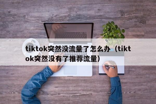 tiktok突然没流量了怎么办（tiktok突然没有了推荐流量） 第1张