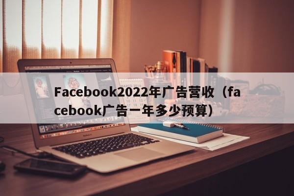 Facebook2022年广告营收（facebook广告一年多少预算） 第1张