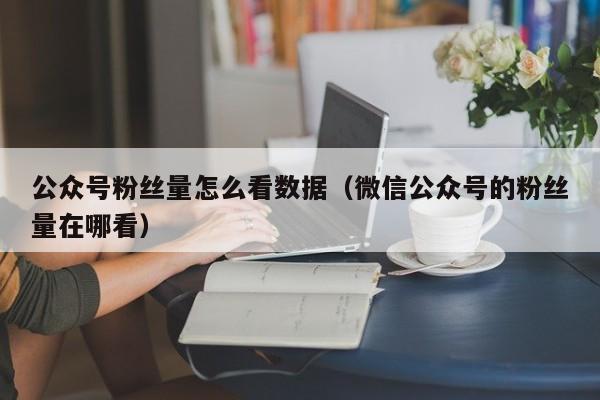 公众号粉丝量怎么看数据（微信公众号的粉丝量在哪看） 第1张