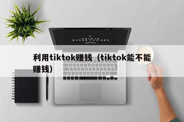 利用tiktok赚钱（tiktok能不能赚钱） 第1张