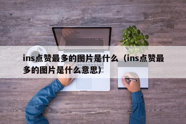 ins点赞最多的图片是什么（ins点赞最多的图片是什么意思） 第1张