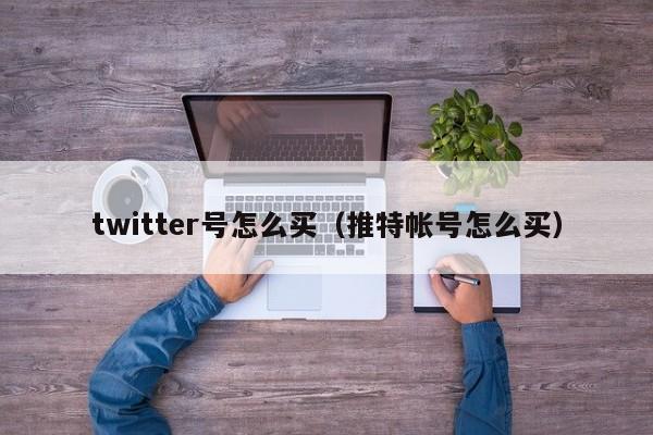 twitter号怎么买（推特帐号怎么买） 第1张