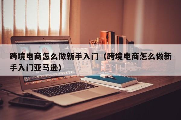 跨境电商怎么做新手入门（跨境电商怎么做新手入门亚马逊） 第1张