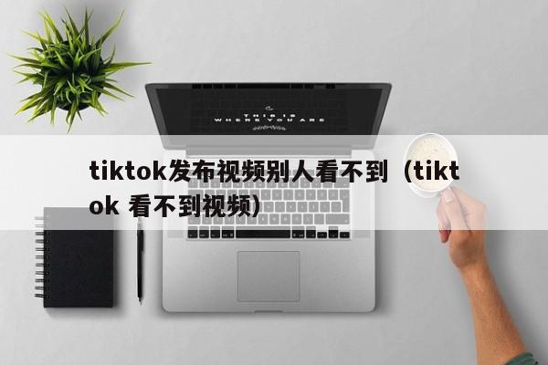 tiktok发布视频别人看不到（tiktok 看不到视频） 第1张