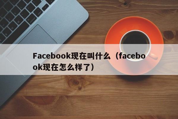 Facebook现在叫什么（facebook现在怎么样了） 第1张