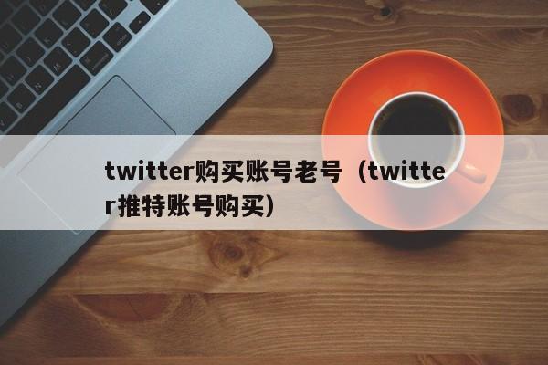 twitter购买账号老号（twitter推特账号购买） 第1张