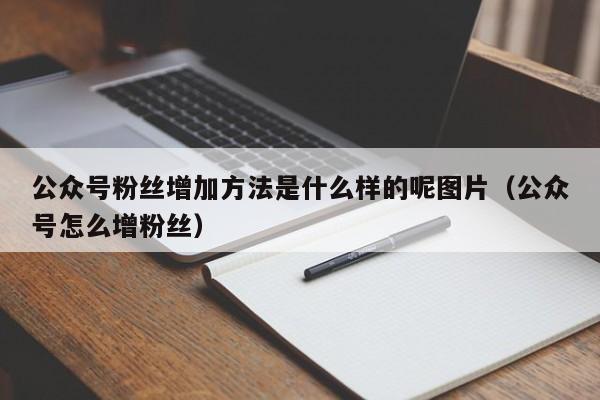 公众号粉丝增加方法是什么样的呢图片（公众号怎么增粉丝） 第1张