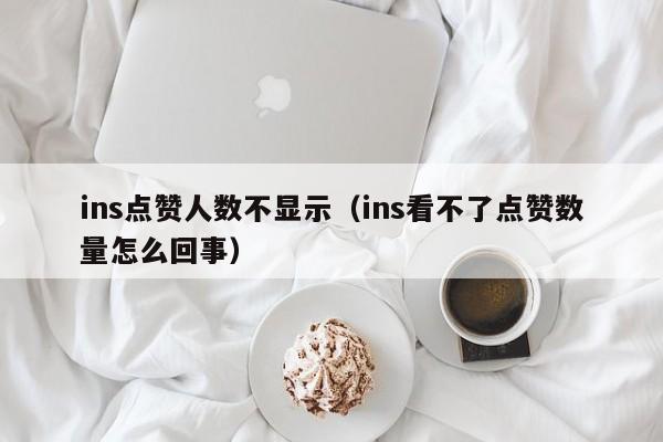 ins点赞人数不显示（ins看不了点赞数量怎么回事） 第1张