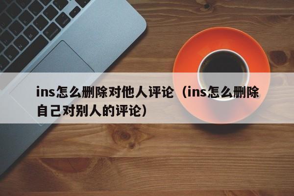 ins怎么删除对他人评论（ins怎么删除自己对别人的评论） 第1张