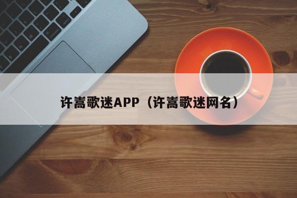 许嵩歌迷APP（许嵩歌迷网名） 第1张