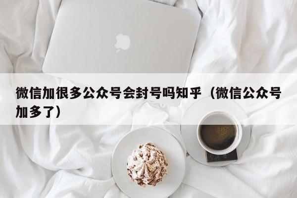 微信加很多公众号会封号吗知乎（微信公众号加多了） 第1张