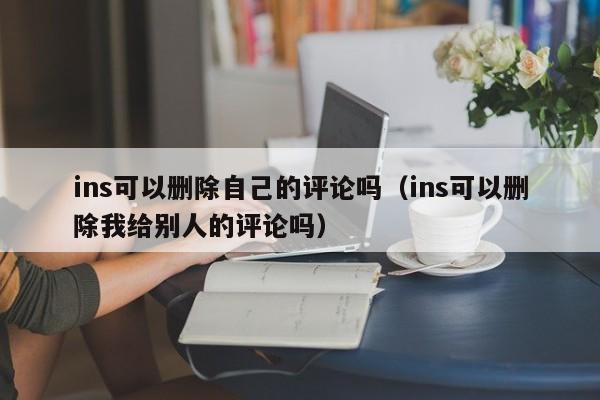 ins可以删除自己的评论吗（ins可以删除我给别人的评论吗） 第1张