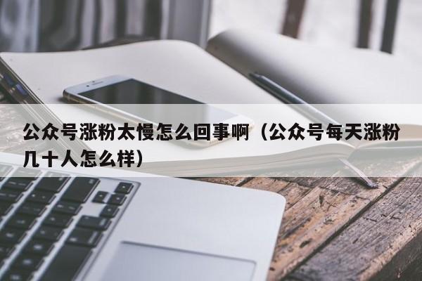 公众号涨粉太慢怎么回事啊（公众号每天涨粉几十人怎么样） 第1张