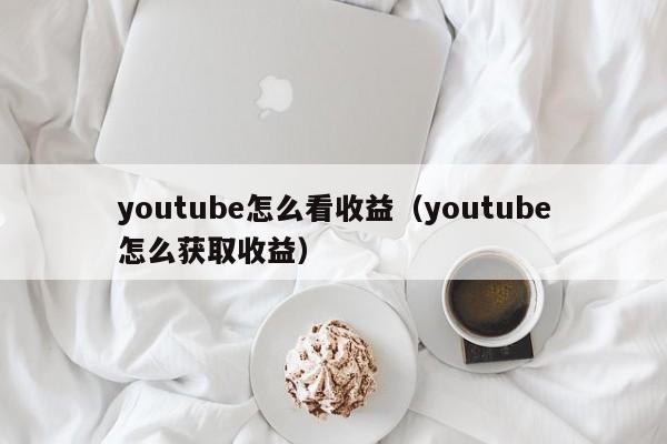 youtube怎么看收益（youtube怎么获取收益） 第1张