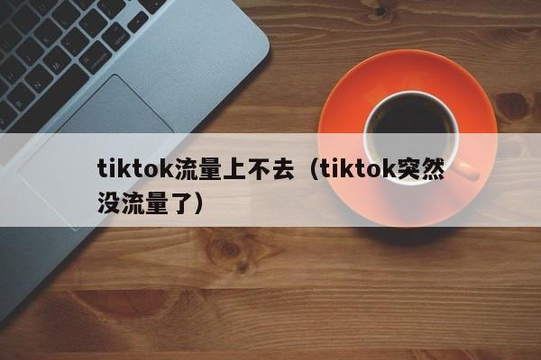 tiktok流量上不去（tiktok突然没流量了） 第1张