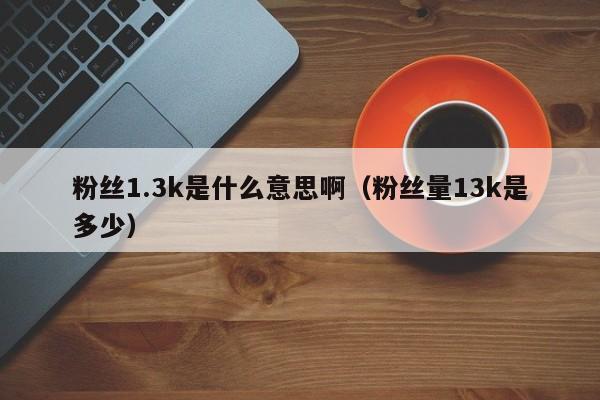 粉丝1.3k是什么意思啊（粉丝量13k是多少） 第1张