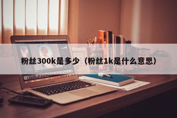 粉丝300k是多少（粉丝1k是什么意思） 第1张