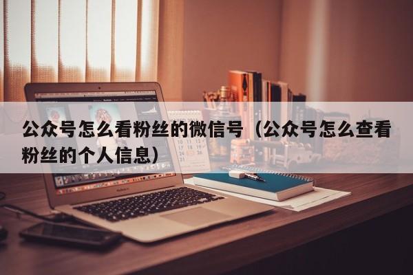 公众号怎么看粉丝的微信号（公众号怎么查看粉丝的个人信息） 第1张