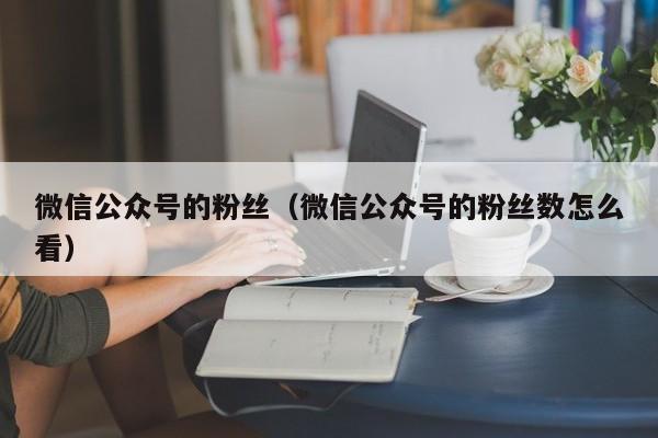 微信公众号的粉丝（微信公众号的粉丝数怎么看） 第1张