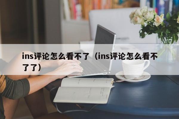 ins评论怎么看不了（ins评论怎么看不了了） 第1张