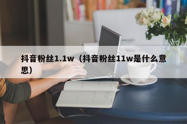 抖音粉丝1.1w（抖音粉丝11w是什么意思） 第1张