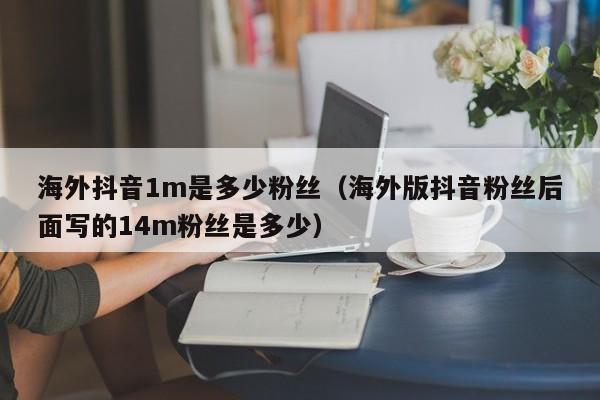 海外抖音1m是多少粉丝（海外版抖音粉丝后面写的14m粉丝是多少） 第1张